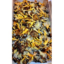Chanterelle cueillette...