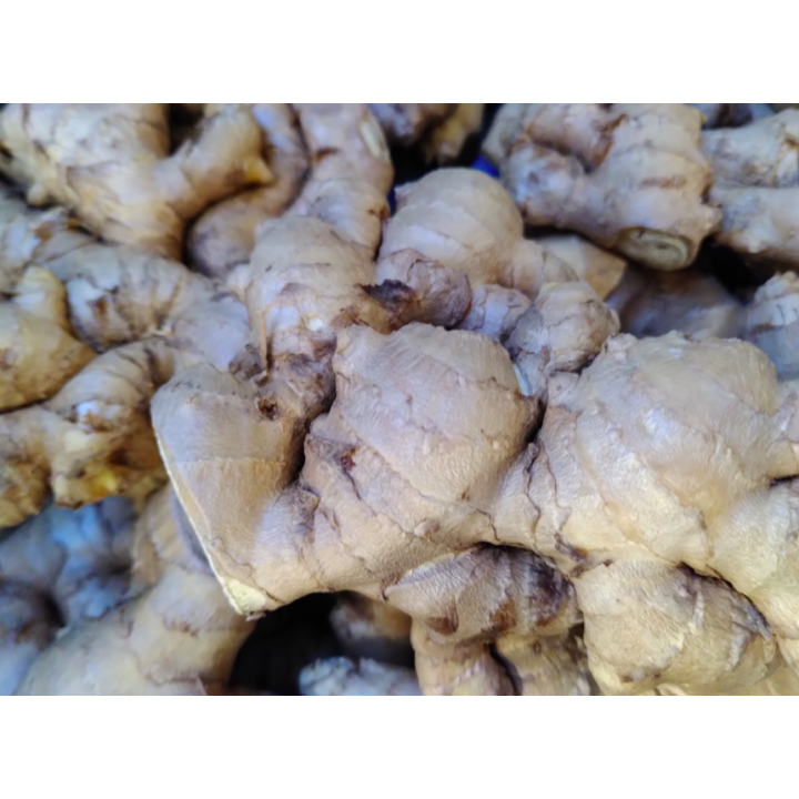 Gingembre FRAIS - Vrac*150g