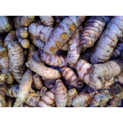 Curcuma FRAIS - Vrac*100g