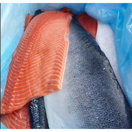 Saumon - en filet - avec peau - 500g