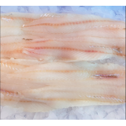 Merlan en filet - avec peau - 500g