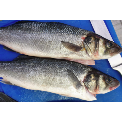 Loup de mer entier nettoyé...