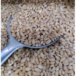 Orge mondé - VRAC* 500g