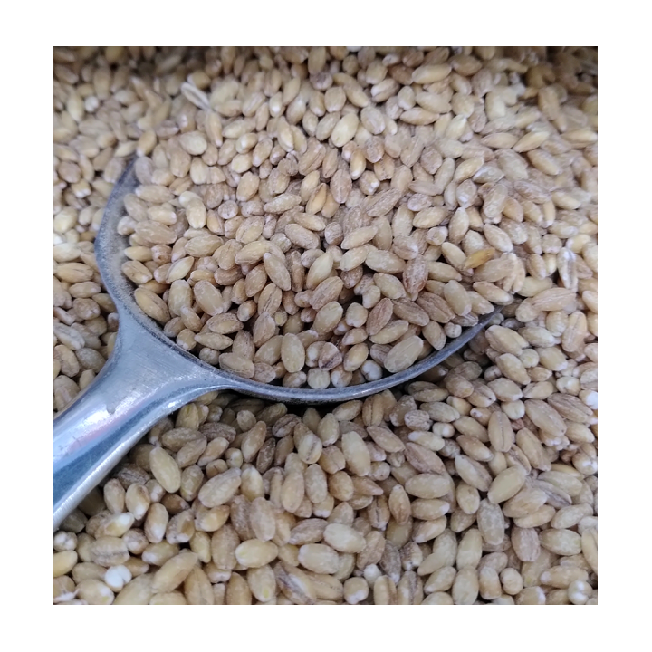 Orge mondé - VRAC* 500g