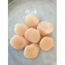 Coquilles Saint-Jacques - 500g