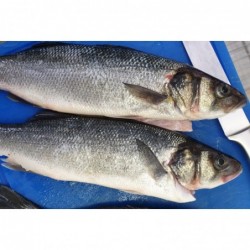 Loup de mer entier nettoyé...