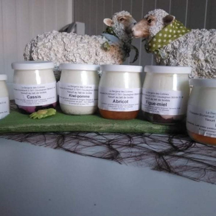 Assortiment de 6 yaourts aux fruits  au lait de brebis