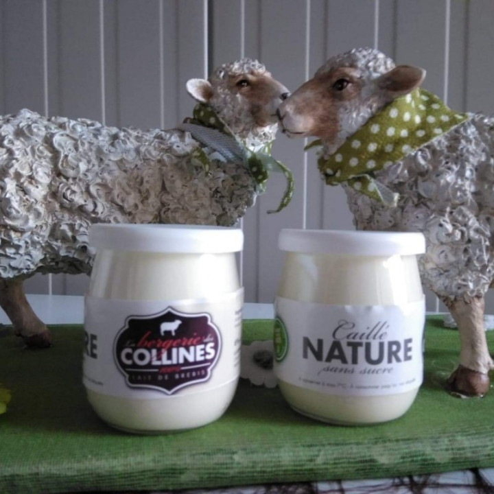 Caillé de Brebis nature - 125ml