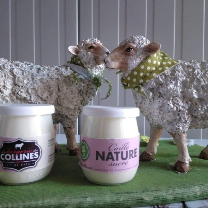 Caillé nature sucré - 125ml