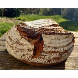 pain au carvi 650g