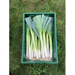Poireaux Bio (1kg)