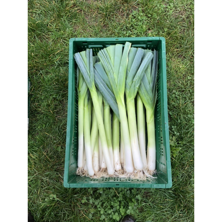 Poireaux Bio (1kg)