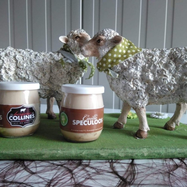 Caillé spéculoos - 125ml