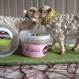 Fromage frais de brebis enrobé ail et fines herbes