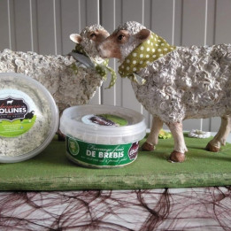Fromage frais de brebis ail et persil plat