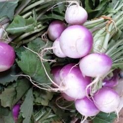 Navet Violet Botte (500gr)
