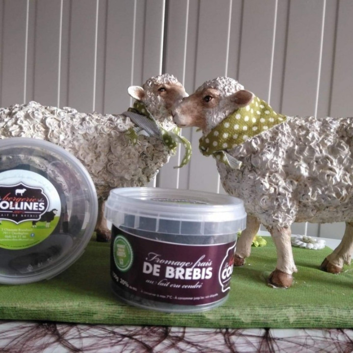 Fromage frais de brebis  cendré