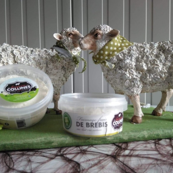 Fromage frais de brebis nature