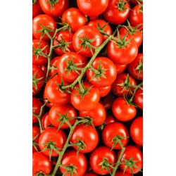 Tomates grappes - 1kg - BIO...