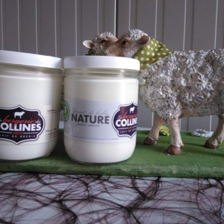 Yaourt de brebis nature - 400ml