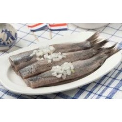 Hareng Hollandais par 5 piéces