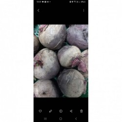 Betterave mixte 1kg bio