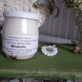 Yaourt de brebis mirabelle - 125ml
