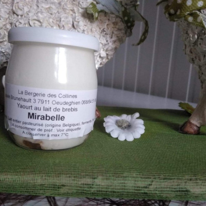 Yaourt de brebis mirabelle - 125ml