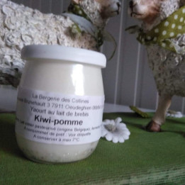 Yaourt de brebis pomme-kiwi - 125ml