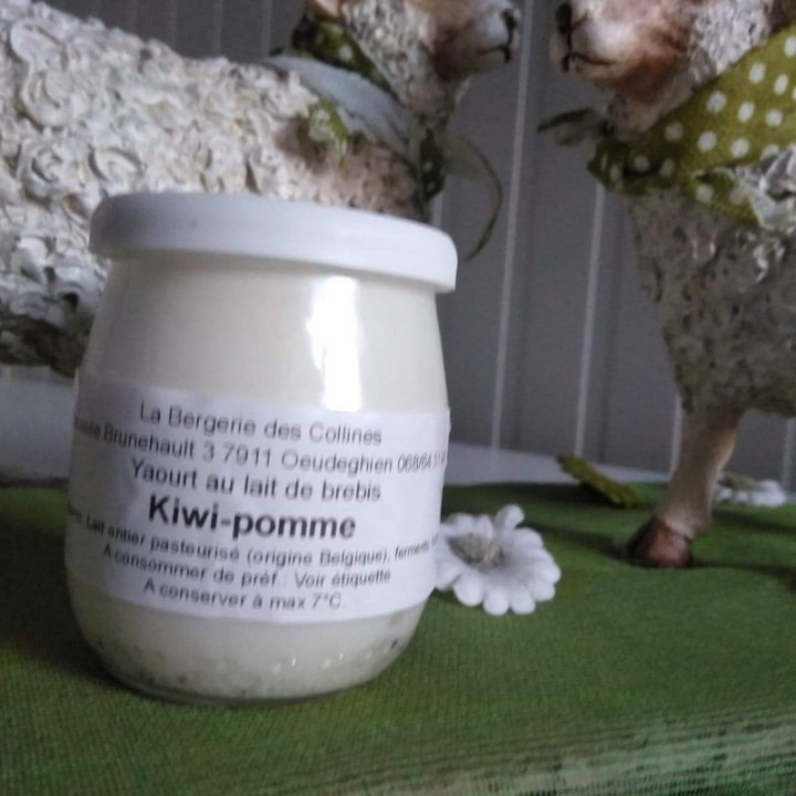 Yaourt de brebis pomme-kiwi - 125ml