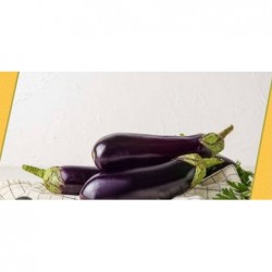 Aubergine bio 1kg