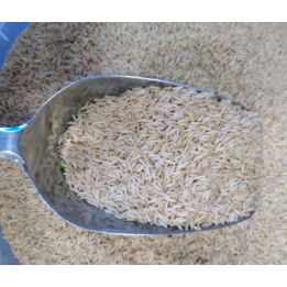 Riz basmati COMPLET bio - VRAC*500g
