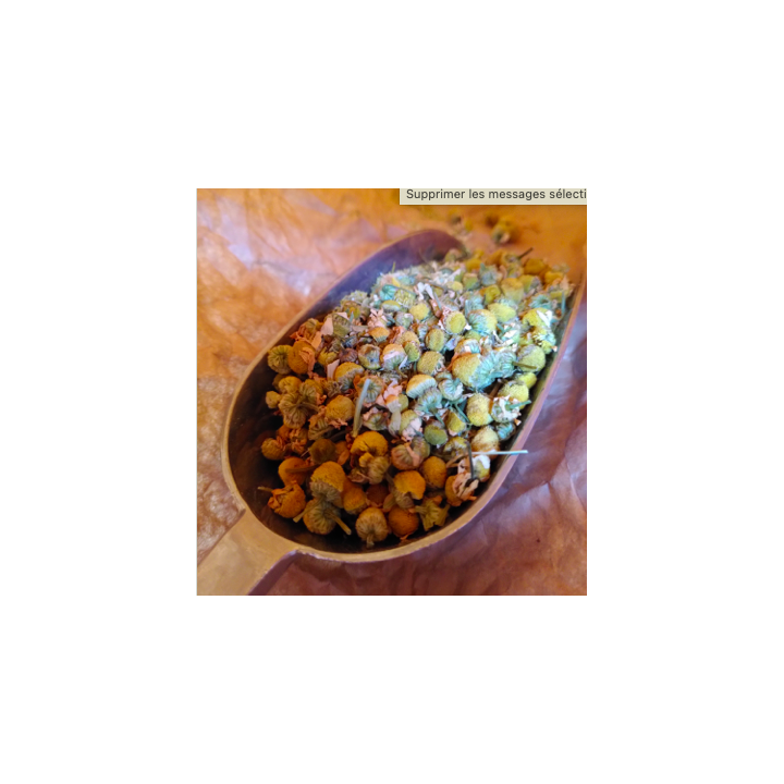 Infusion CAMOMILLE bio – VRAC*100g
