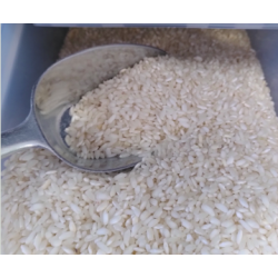 Riz KAROLINA (rond/long)...