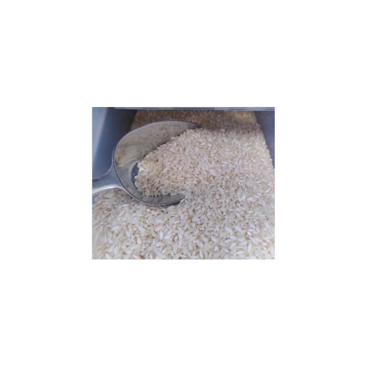 Riz KAROLINA (rond/long) blanc – VRAC*500g– bio