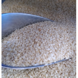 Graines de sésame bio – VRAC*250g