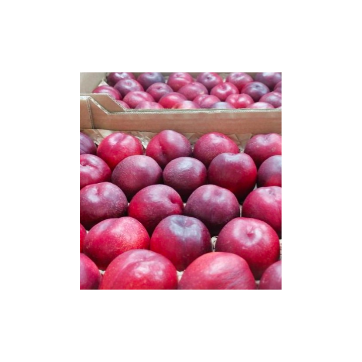 Nectarines - 1kg - BIO - ITALIE