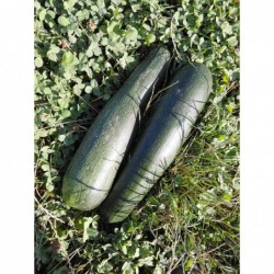 Courgette à Soupe Bio (+-1KG)