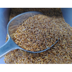 Quinoa BELGE - Bio – VRAC*500g