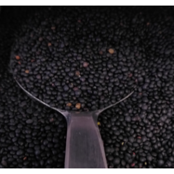 Lentilles noires beluga bio...