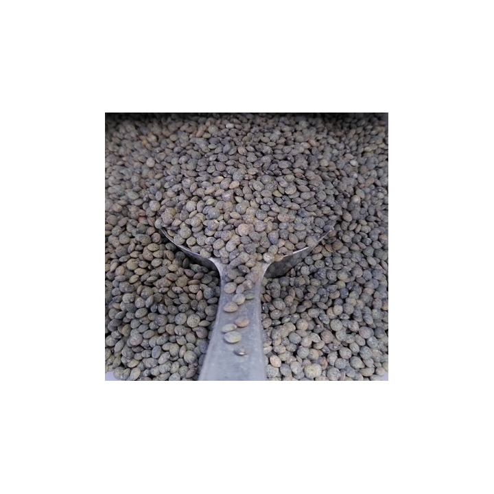 Lentilles vertes – Belgique - VRAC*500g