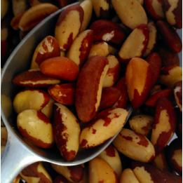 Noix du Brésil bio – vrac*250g