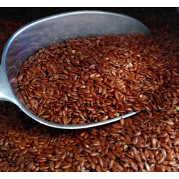 Graines de lin bio – VRAC*250g