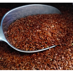 Graines de lin bio – VRAC*250g