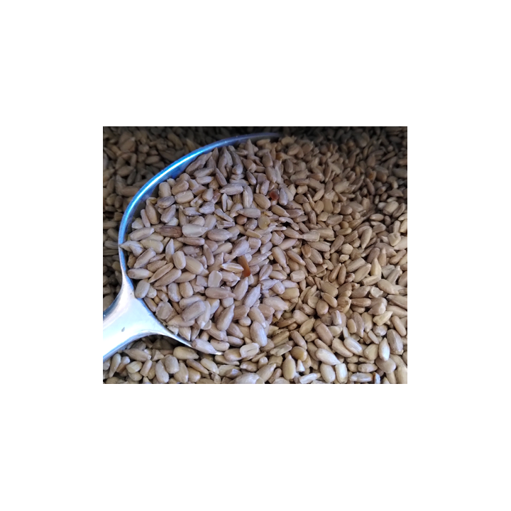 Graines de tournesol bio - VRAC*250g
