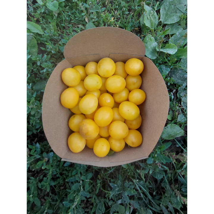 Mirabelles Bio (500gr)