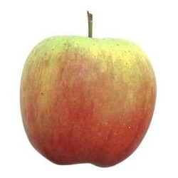 Pommes Zari - 1 Kg