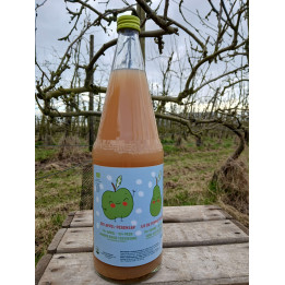 Jus de pomme-poire bio 1 litre
