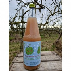 Jus de pomme-poire bio 1 litre