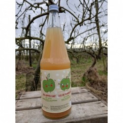 Jus de pommes bio 1 litre